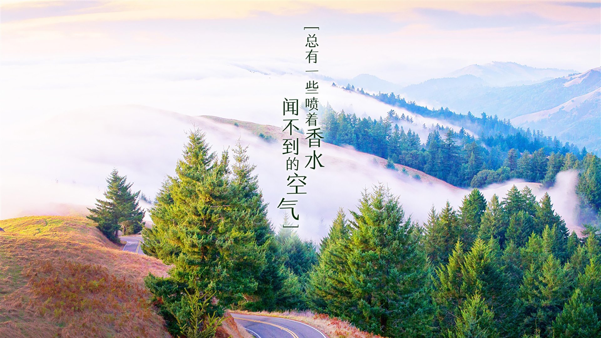 跨越半球的里程碑，赖斯在新西兰对阵瑞士中的传奇一刻