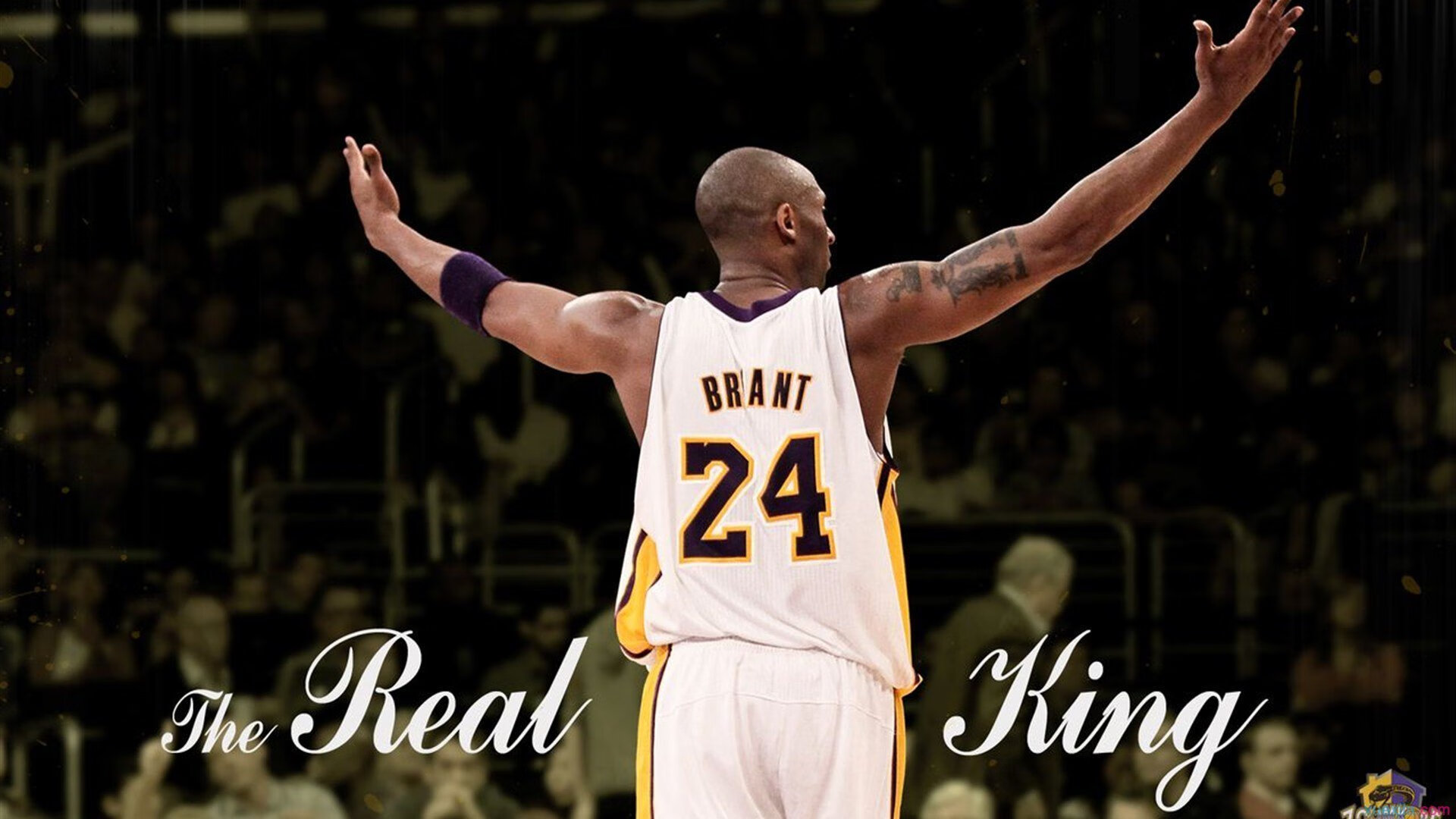 波尔点燃赛场，法国队战术碾压葡萄牙，新一代高卢雄鸡展露冠军相