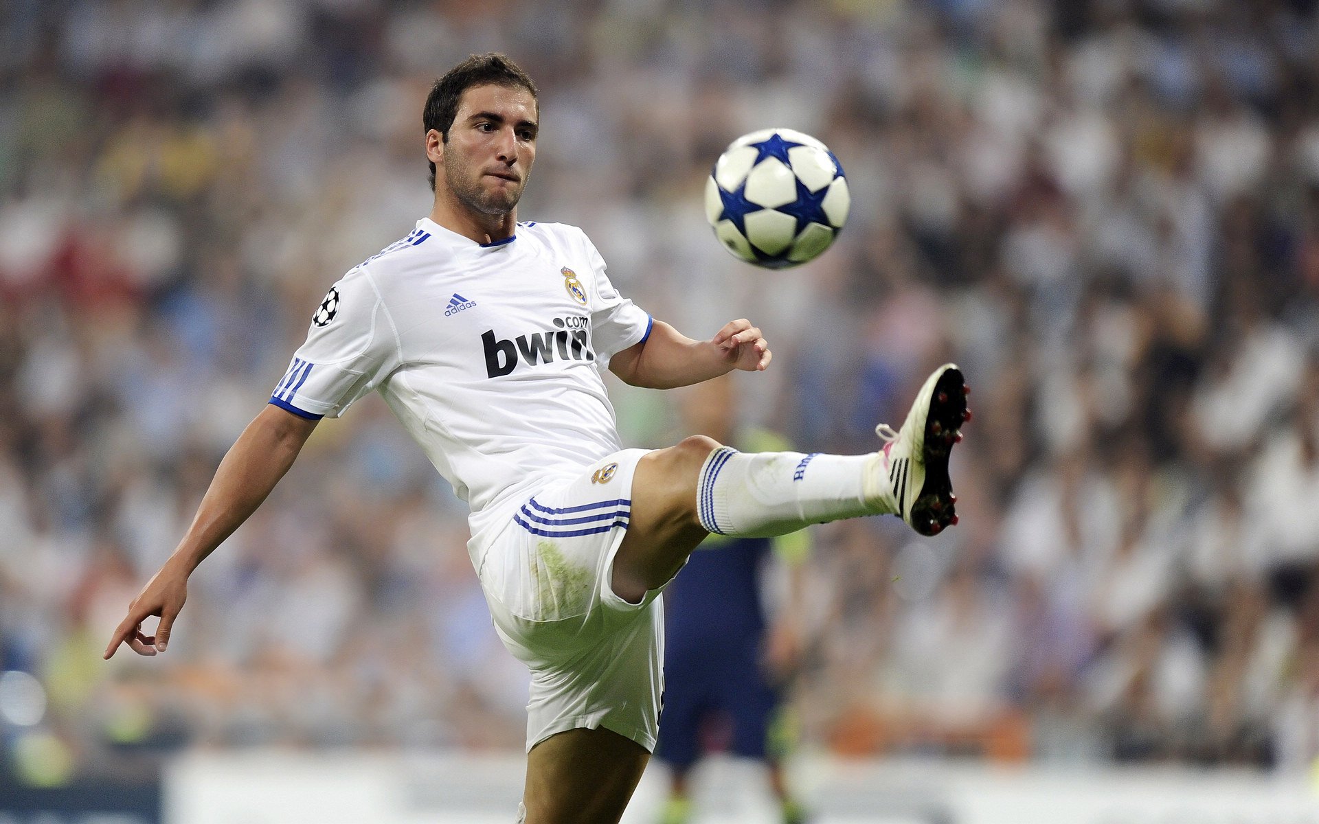 赛道上的王朝更迭,红牛力克威廉姆斯的战术革命与汉密尔顿的绝对统治